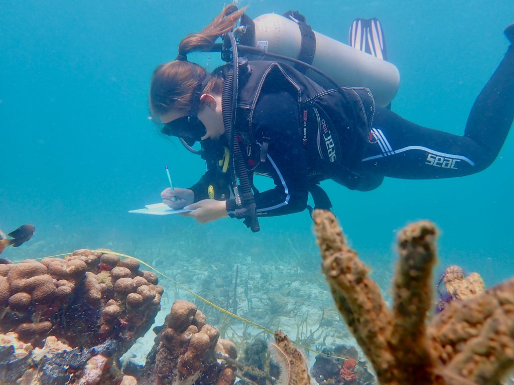 plongeur occupé à écrire sous l'eau